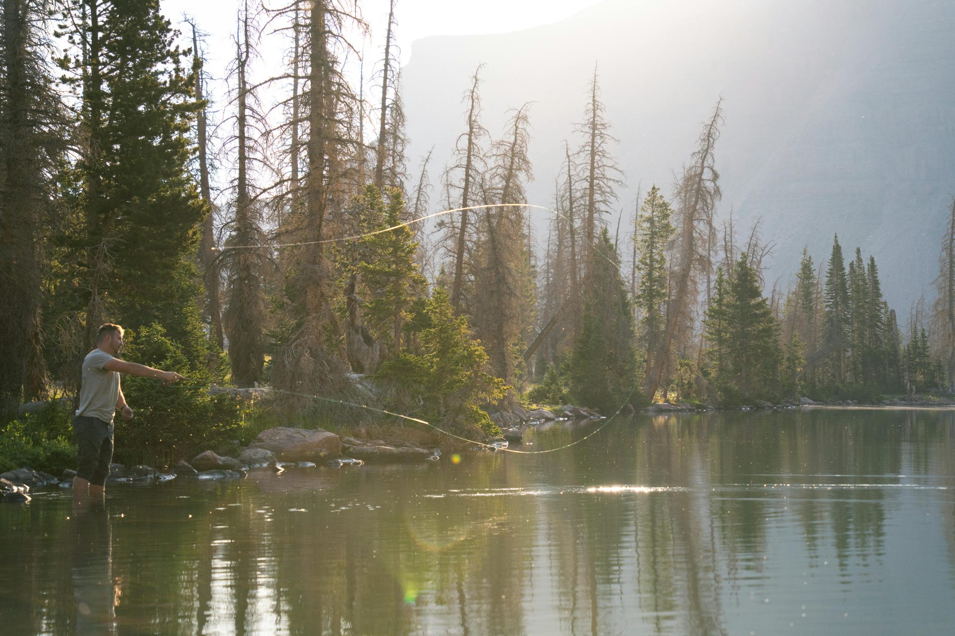 A man fly fishing at an alpine lake surrounded by tall conifer trees, casting during sunrise.
