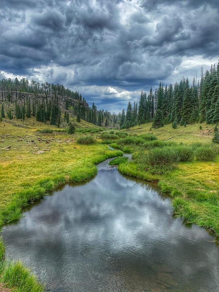 Arizona Fly Fishing Outfitters