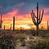 Arizona Fly Fishing Outfitters